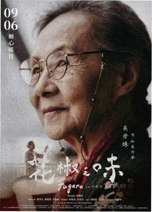 历史番《纸鸢纪年》免费在线观看